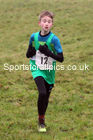 Boys under-13s, NECAA Junior Cross Country Relays, Thornley Farm, Peterlee, Saturday, December 12th. Photo: David T. Hewitson/Sports for All Pics